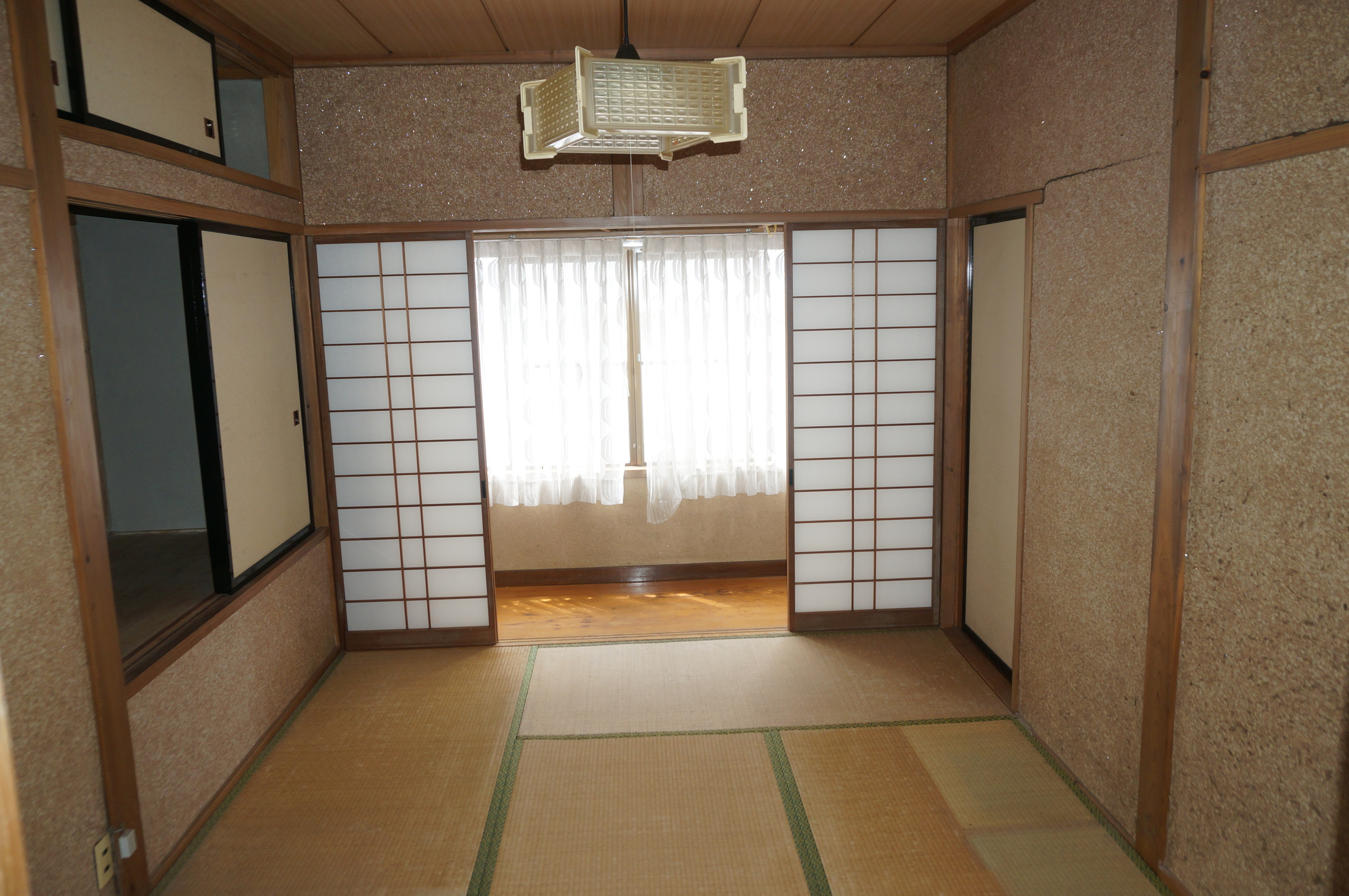 dsc03493.jpg